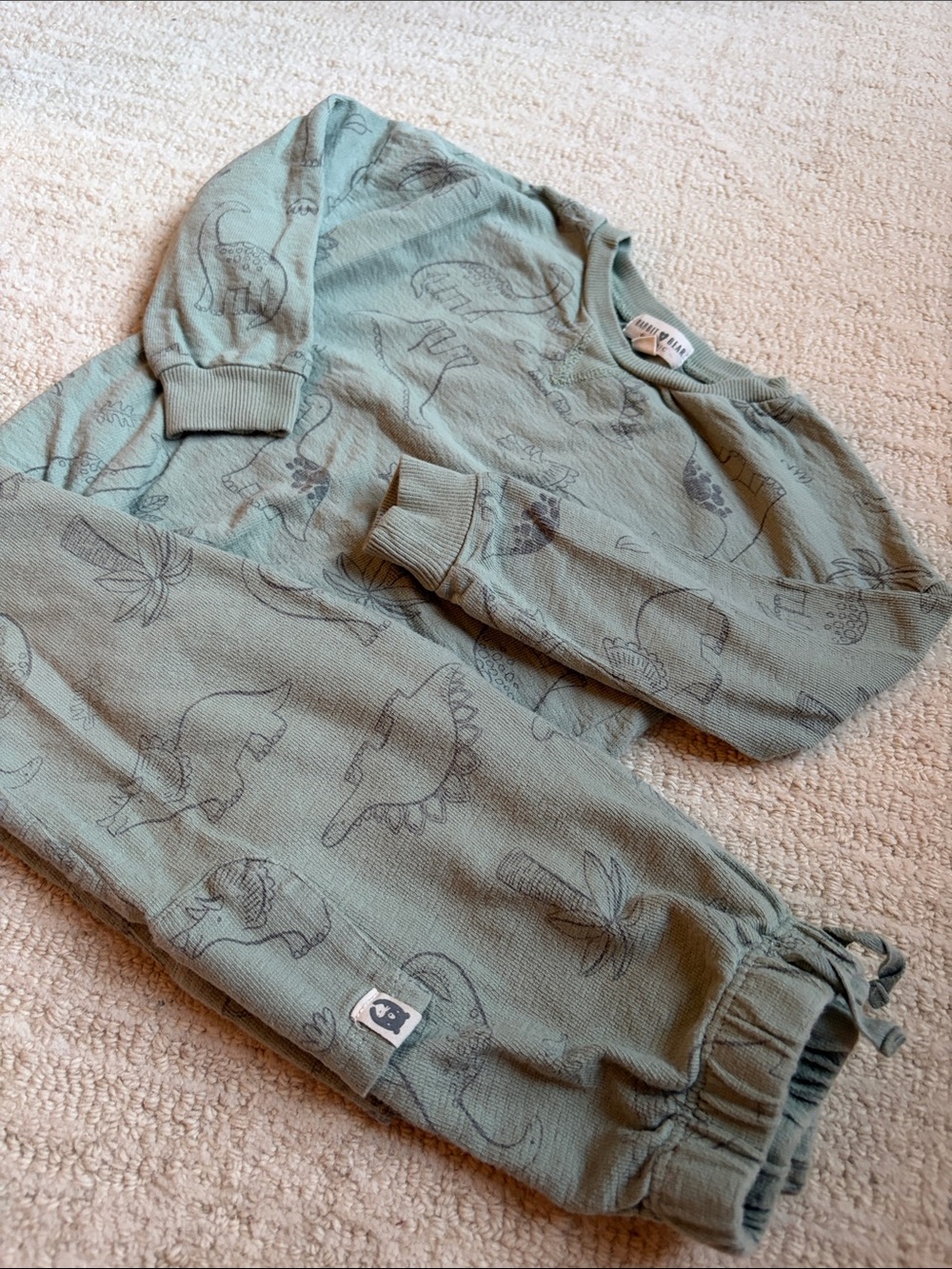 Organic cotton Dino jogger set